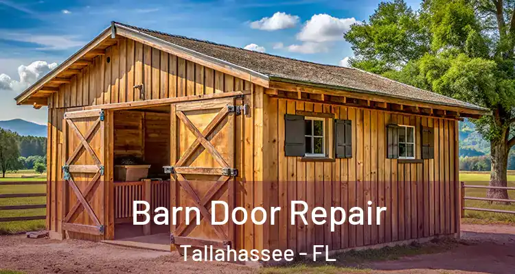 Barn Door Repair Tallahassee - FL