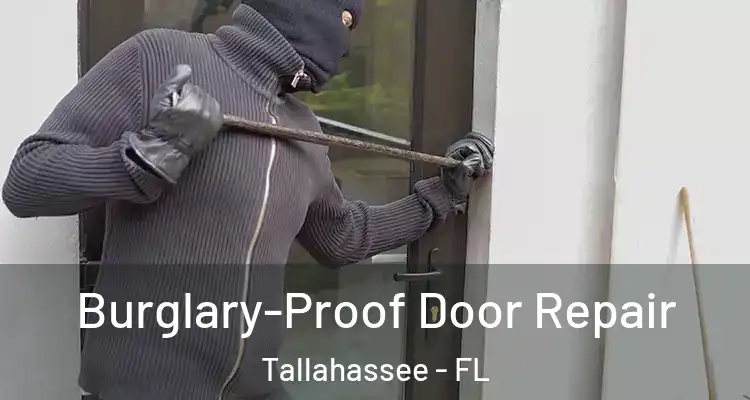  Burglary-Proof Door Repair Tallahassee - FL