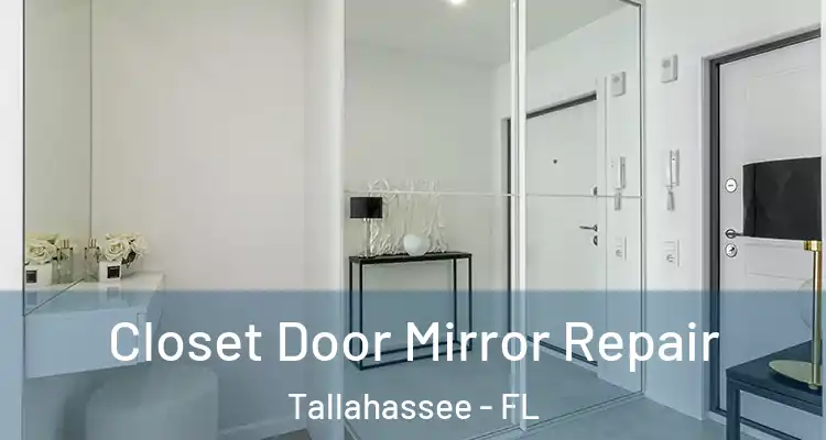  Closet Door Mirror Repair Tallahassee - FL