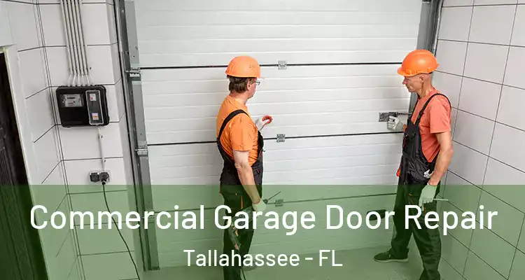  Commercial Garage Door Repair Tallahassee - FL