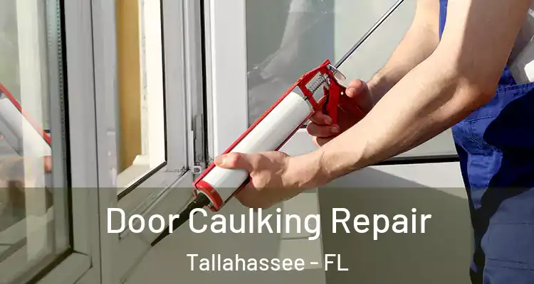  Door Caulking Repair Tallahassee - FL