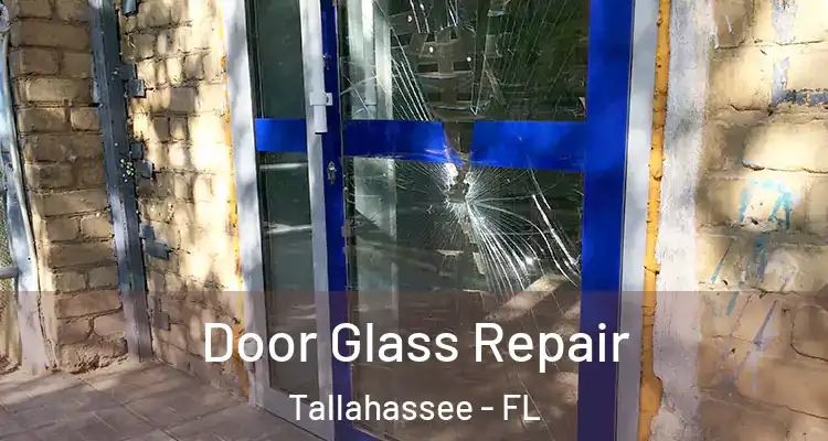  Door Glass Repair Tallahassee - FL