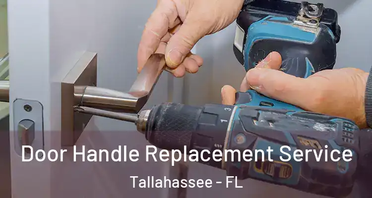  Door Handle Replacement Service Tallahassee - FL