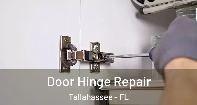  Door Hinge Repair Tallahassee - FL