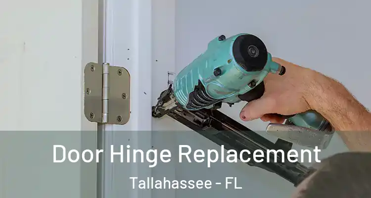  Door Hinge Replacement Tallahassee - FL