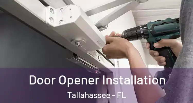  Door Opener Installation Tallahassee - FL