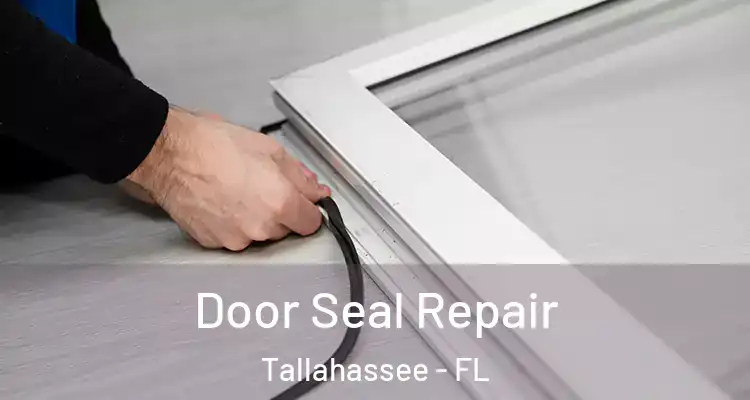  Door Seal Repair Tallahassee - FL