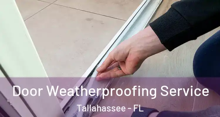  Door Weatherproofing Service Tallahassee - FL