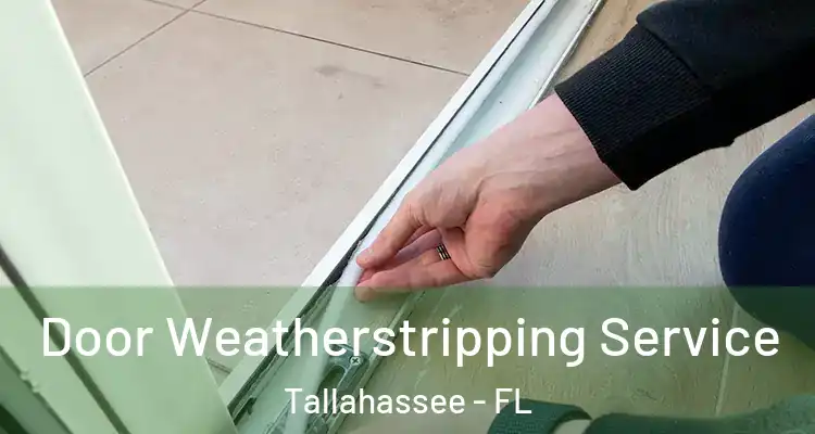  Door Weatherstripping Service Tallahassee - FL