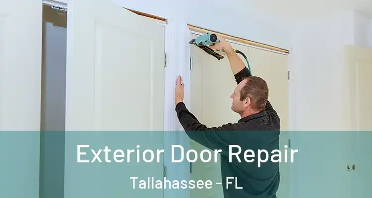  Exterior Door Repair Tallahassee - FL