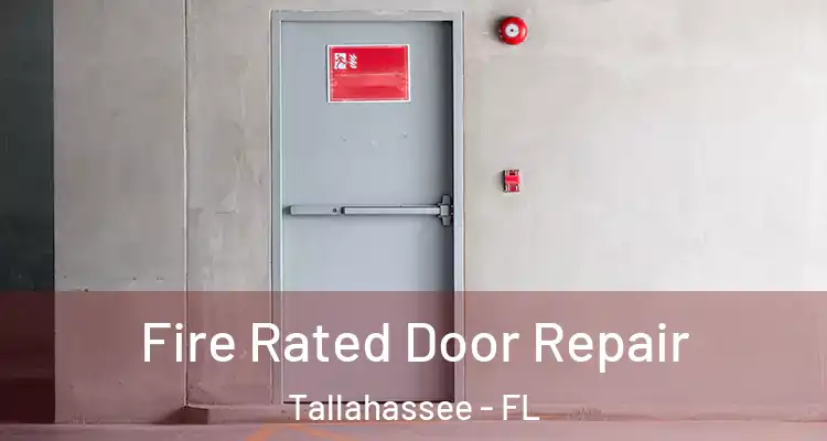  Fire Rated Door Repair Tallahassee - FL