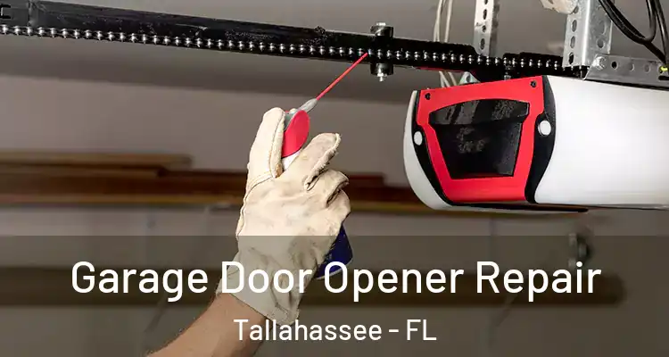  Garage Door Opener Repair Tallahassee - FL