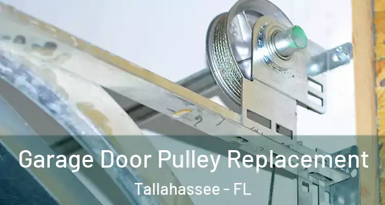  Garage Door Pulley Replacement Tallahassee - FL