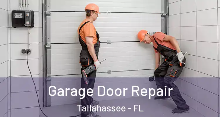  Garage Door Repair Tallahassee - FL