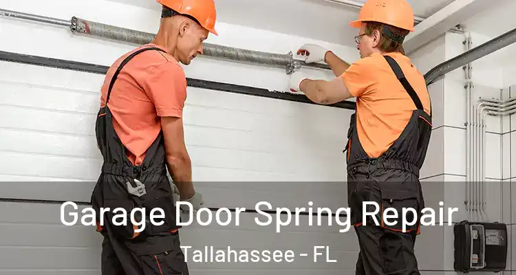  Garage Door Spring Repair Tallahassee - FL