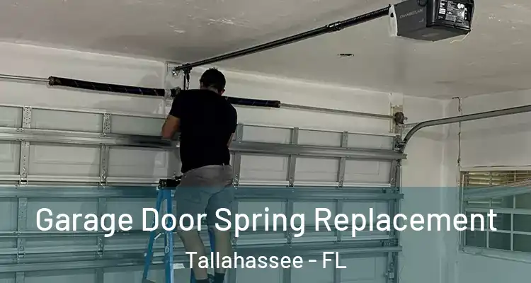  Garage Door Spring Replacement Tallahassee - FL