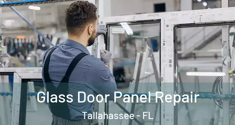  Glass Door Panel Repair Tallahassee - FL