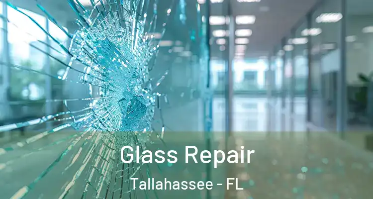  Glass Repair Tallahassee - FL
