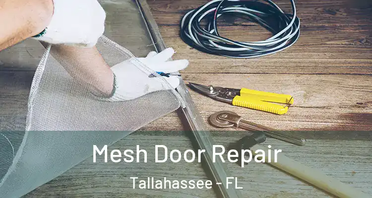 Mesh Door Repair Tallahassee - FL