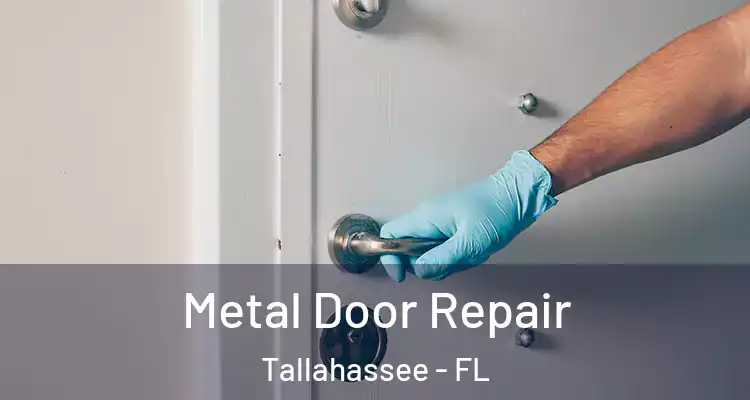  Metal Door Repair Tallahassee - FL