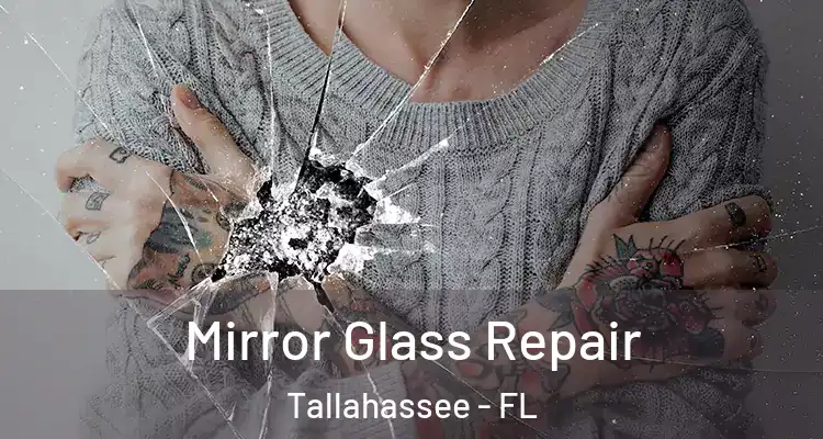  Mirror Glass Repair Tallahassee - FL