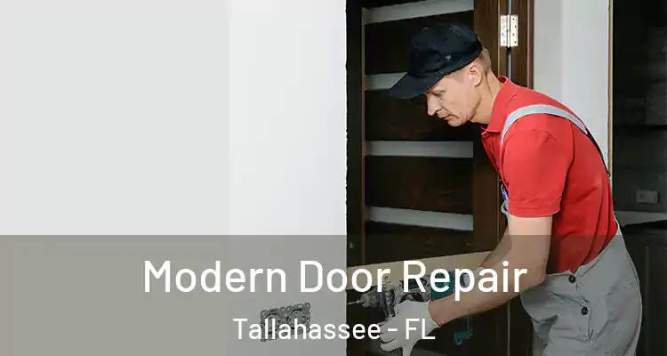  Modern Door Repair Tallahassee - FL