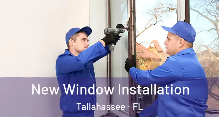  New Window Installation Tallahassee - FL