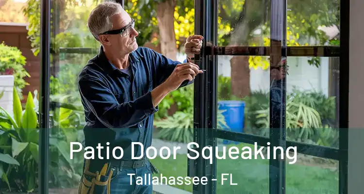  Patio Door Squeaking Tallahassee - FL