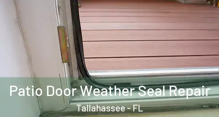  Patio Door Weather Seal Repair Tallahassee - FL