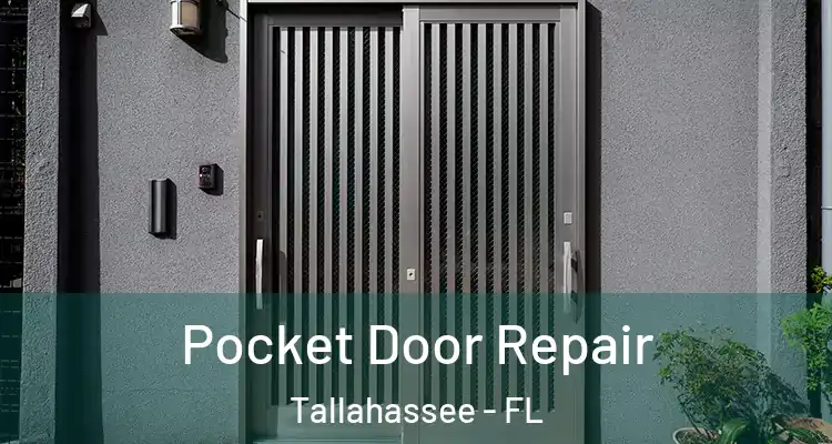 Pocket Door Repair Tallahassee - FL