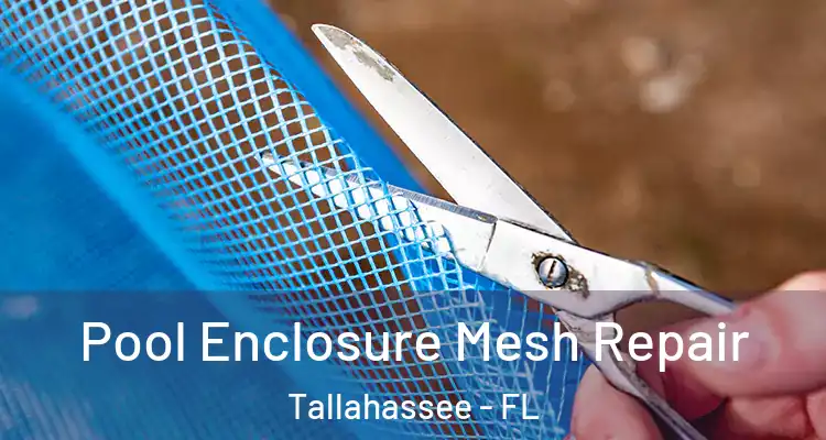  Pool Enclosure Mesh Repair Tallahassee - FL