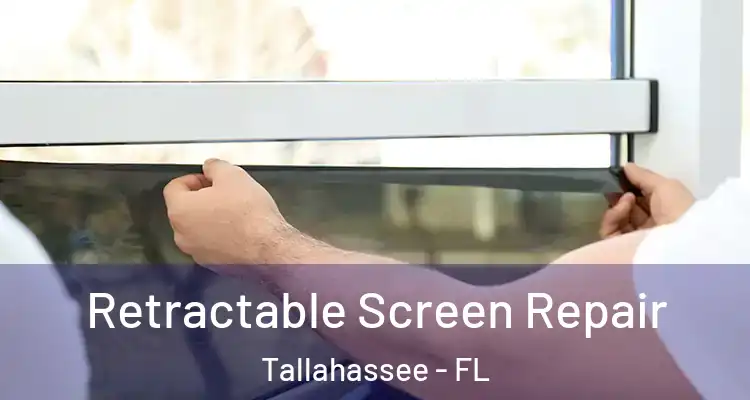  Retractable Screen Repair Tallahassee - FL