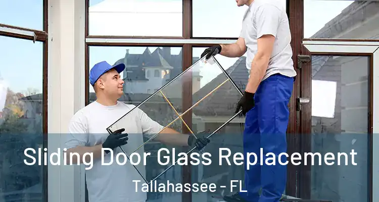  Sliding Door Glass Replacement Tallahassee - FL