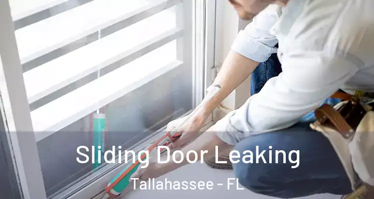  Sliding Door Leaking Tallahassee - FL