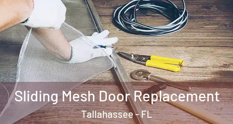  Sliding Mesh Door Replacement Tallahassee - FL