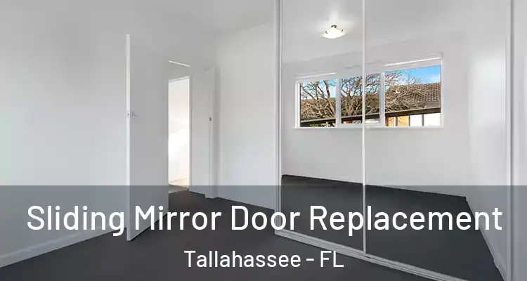  Sliding Mirror Door Replacement Tallahassee - FL