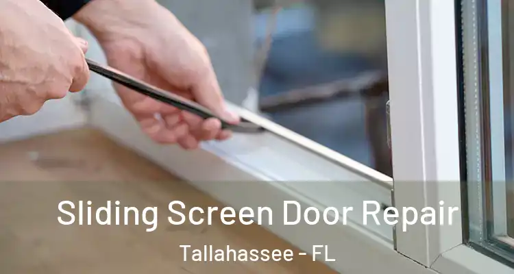  Sliding Screen Door Repair Tallahassee - FL