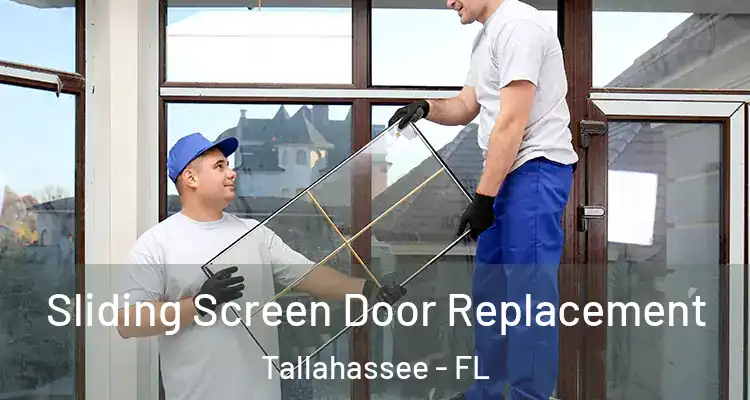 Sliding Screen Door Replacement Tallahassee - FL