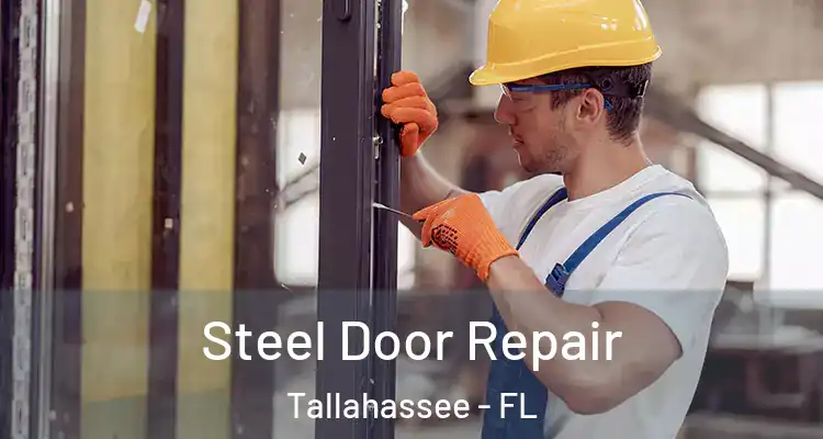  Steel Door Repair Tallahassee - FL