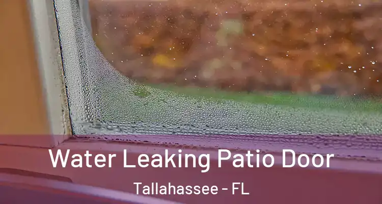  Water Leaking Patio Door Tallahassee - FL