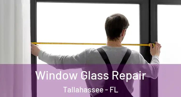  Window Glass Repair Tallahassee - FL