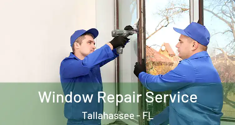  Window Repair Service Tallahassee - FL