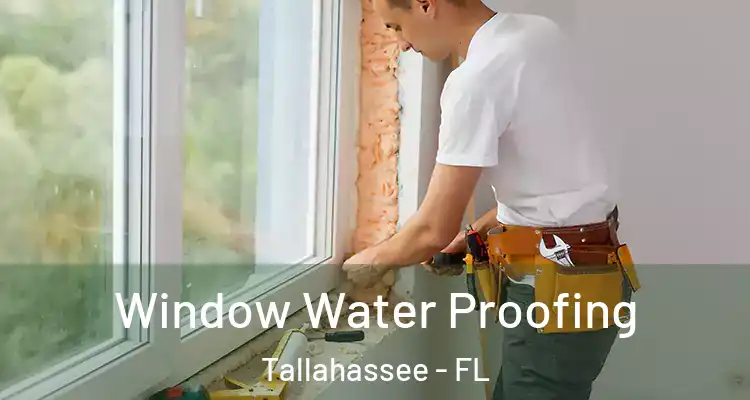  Window Water Proofing Tallahassee - FL