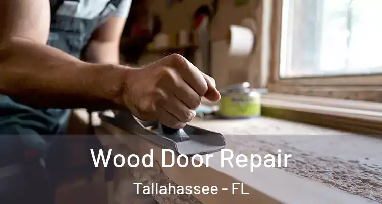  Wood Door Repair Tallahassee - FL